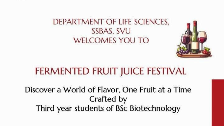 Fermented Juice Festival